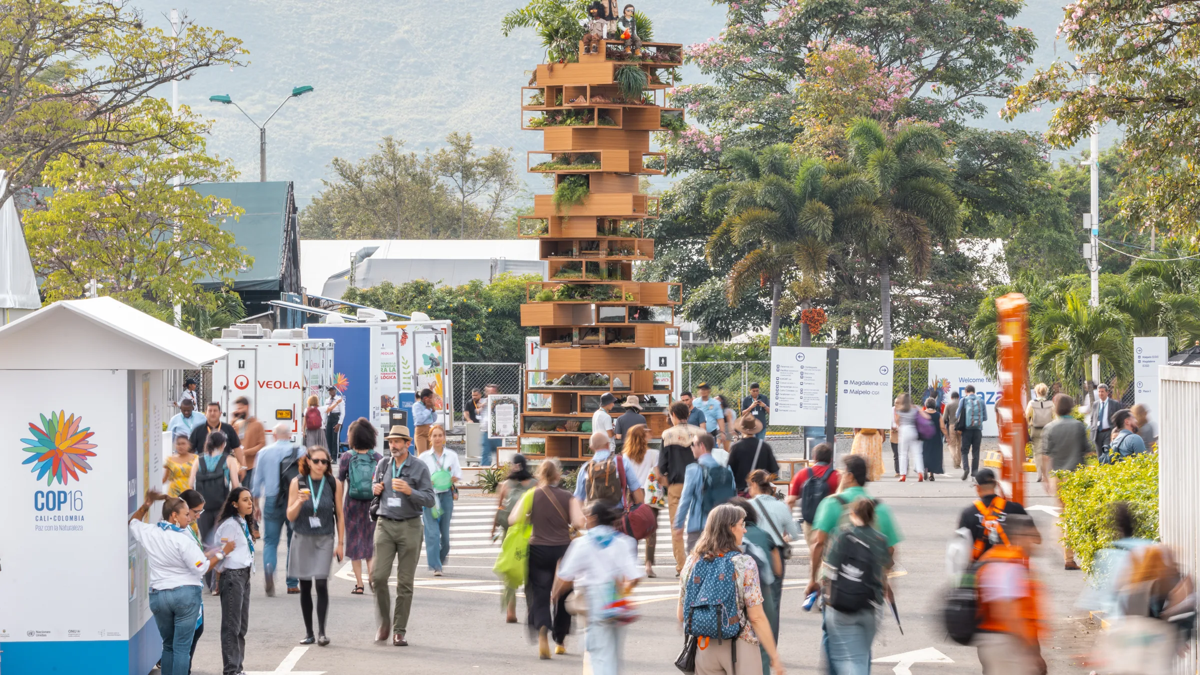 Delegates walk through the venue of the COP16 biodiversity summit in Cali, Colombia