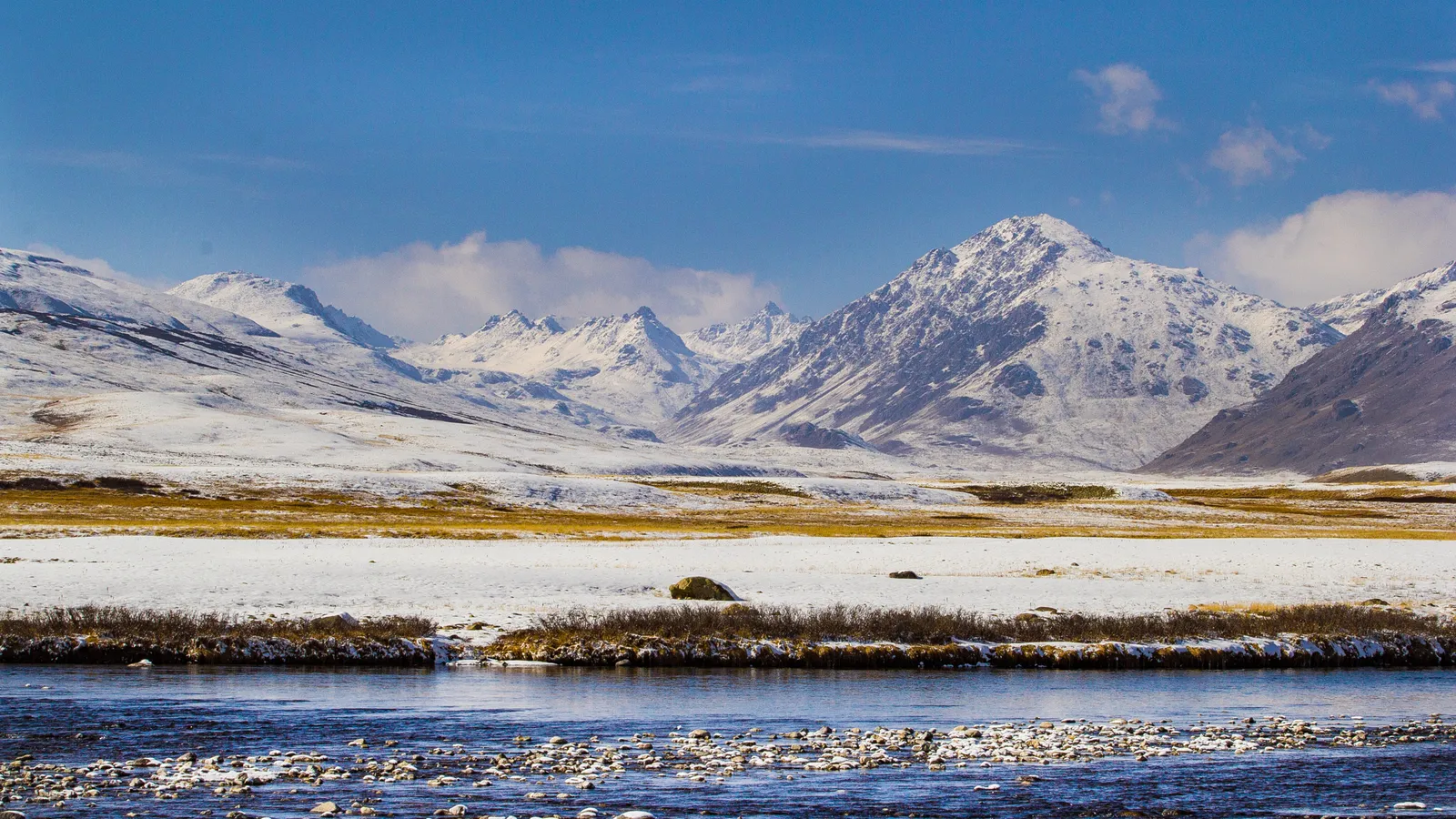 The open plains of Deosai National Park with snow-capped mountains behind