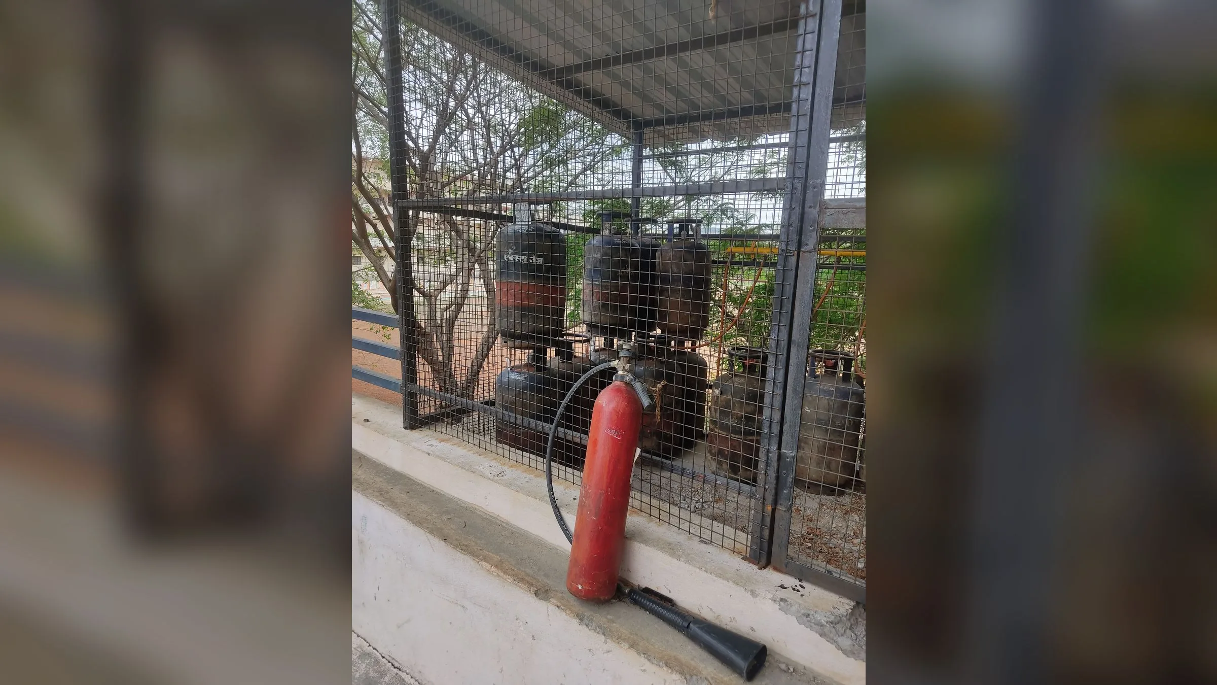 LPG gas cylinders stored inside a metal cage next to a fire extinguisher
