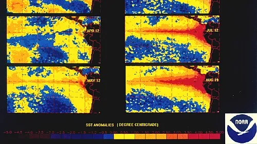 Satellite maps of sea surface temperature anomalies in the Pacific during the 1997 El Nino